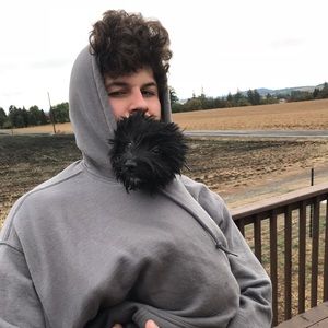 Meet your Posher, Roberto